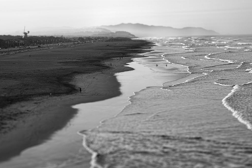 Along Ocean Beach. Scapes series.