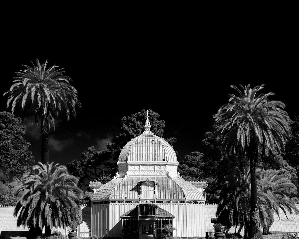 The Conservatory. Scapes series.