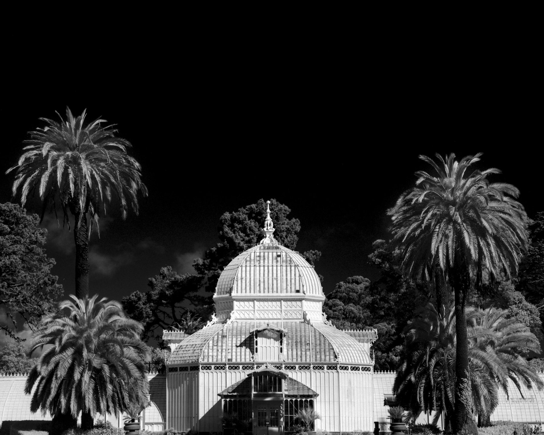 The Conservatory — fine art landscape, Scapes series, fine art photography print by Kofi Amoa